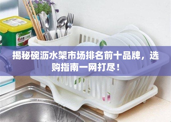 揭秘碗沥水架市场排名前十品牌，选购指南一网打尽！