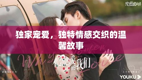 独家宠爱，独特情感交织的温馨故事