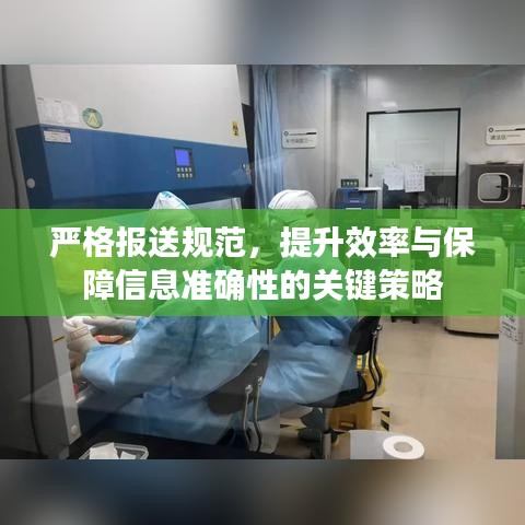 严格报送规范，提升效率与保障信息准确性的关键策略
