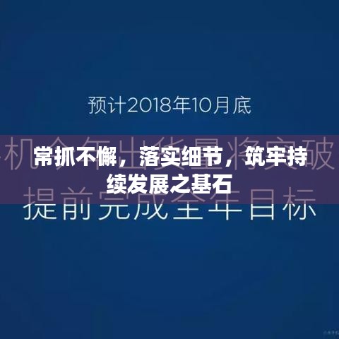 常抓不懈，落实细节，筑牢持续发展之基石