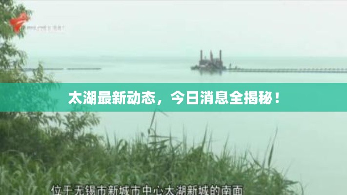 太湖最新动态，今日消息全揭秘！