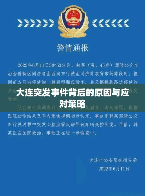 大连突发事件背后的原因与应对策略