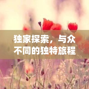 独家探索，与众不同的独特旅程