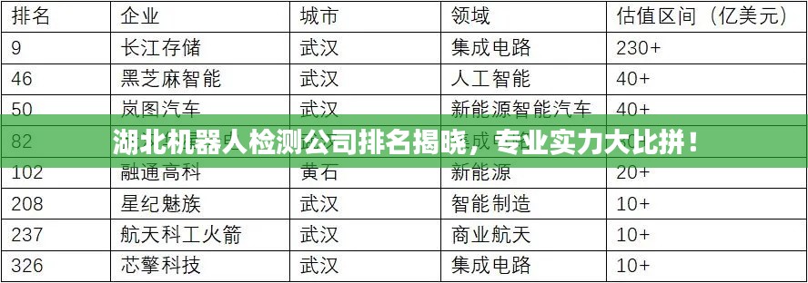 湖北机器人检测公司排名揭晓，专业实力大比拼！