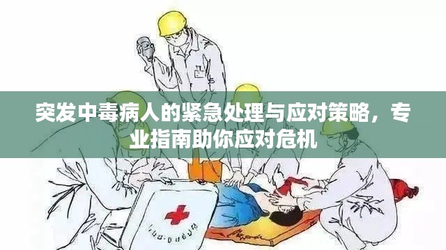 突发中毒病人的紧急处理与应对策略，专业指南助你应对危机