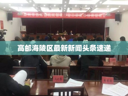 高邮海陵区最新新闻头条速递