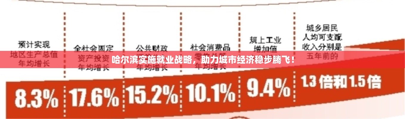 哈尔滨实施就业战略，助力城市经济稳步腾飞！