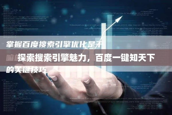 探索搜索引擎魅力，百度一键知天下