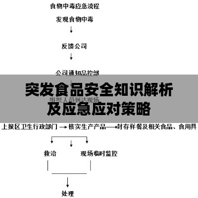 突发食品安全知识解析及应急应对策略