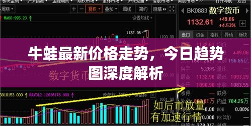 牛蛙最新价格走势，今日趋势图深度解析