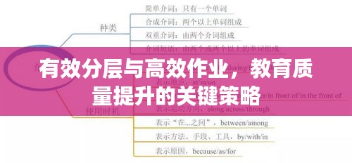 有效分层与高效作业，教育质量提升的关键策略