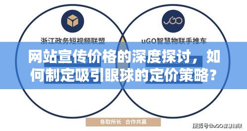 网站宣传价格的深度探讨，如何制定吸引眼球的定价策略？