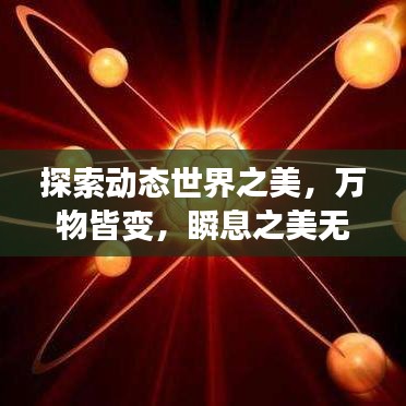 探索动态世界之美，万物皆变，瞬息之美无限探索