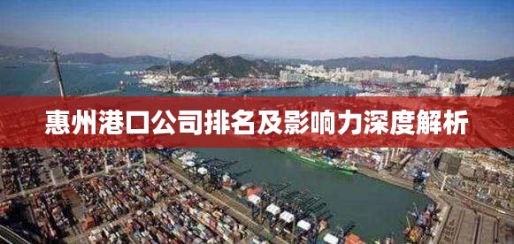 惠州港口公司排名及影响力深度解析