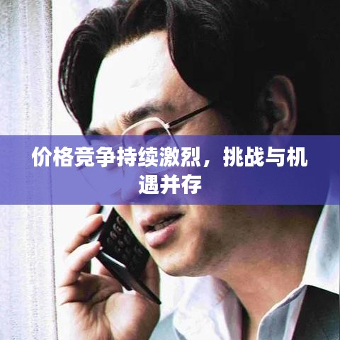 价格竞争持续激烈，挑战与机遇并存