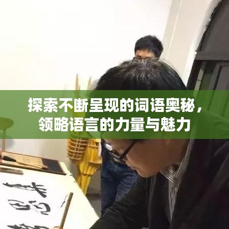 探索不断呈现的词语奥秘，领略语言的力量与魅力