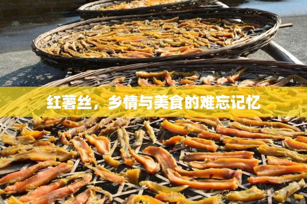 红薯丝，乡情与美食的难忘记忆