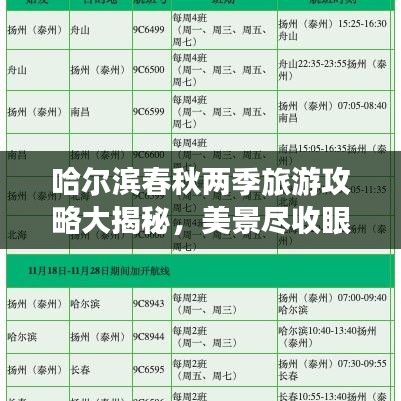 哈尔滨春秋两季旅游攻略大揭秘，美景尽收眼底！