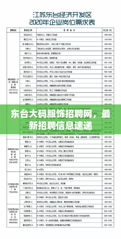 东台大码服饰招聘网，最新招聘信息速递