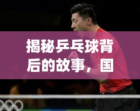 揭秘乒乓球背后的故事，国球传奇深度报道