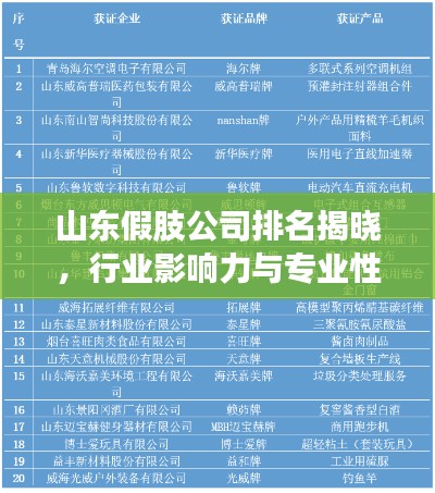 山东假肢公司排名揭晓，行业影响力与专业性一览