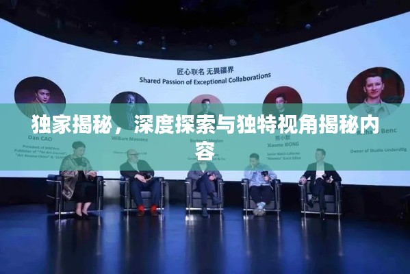独家揭秘，深度探索与独特视角揭秘内容
