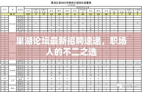 巢湖论坛最新招聘速递，职场人的不二之选
