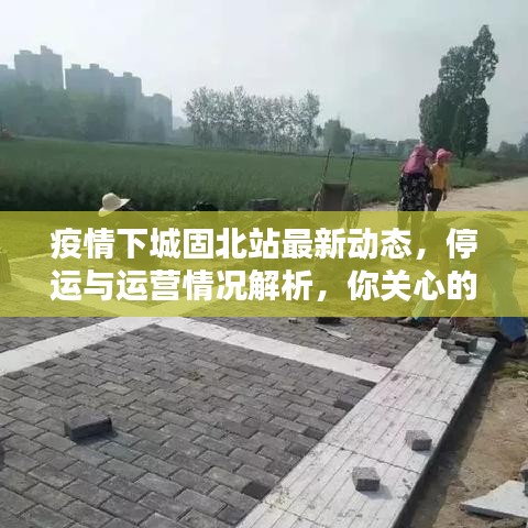 疫情下城固北站最新动态，停运与运营情况解析，你关心的都在这里