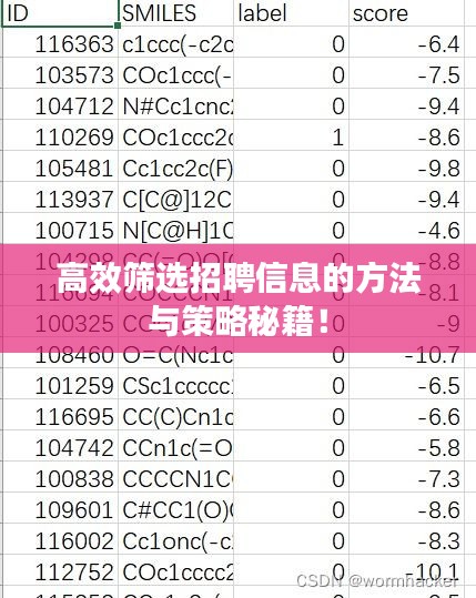 高效筛选招聘信息的方法与策略秘籍！