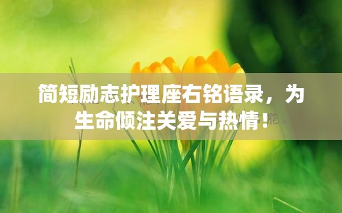 简短励志护理座右铭语录，为生命倾注关爱与热情！