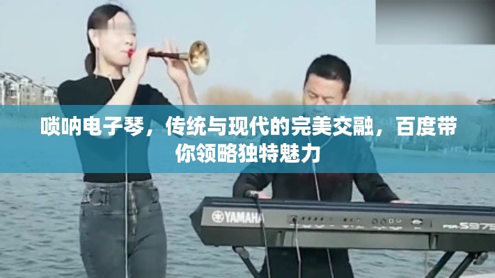 唢呐电子琴，传统与现代的完美交融，百度带你领略独特魅力