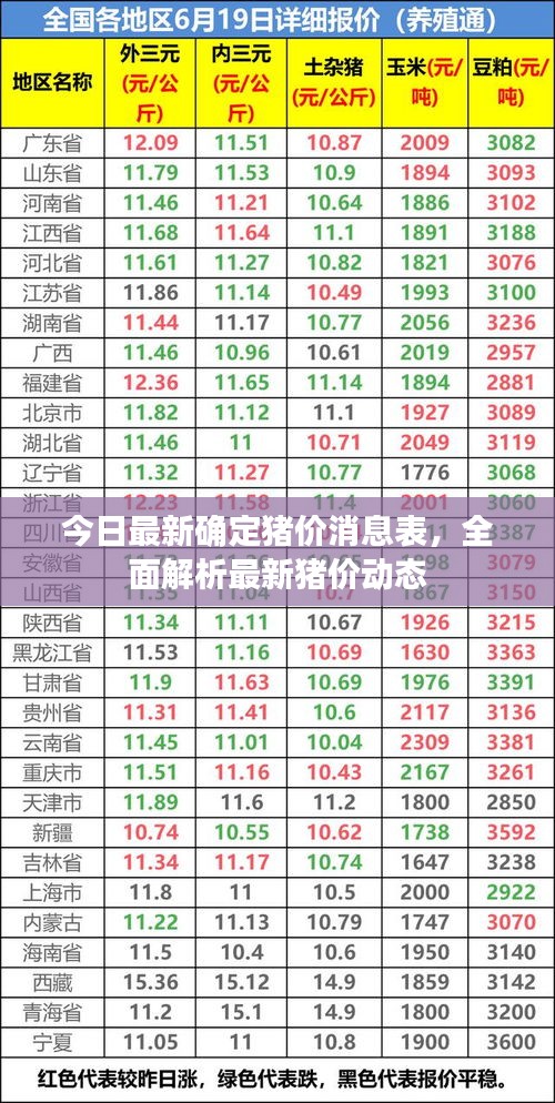 今日最新确定猪价消息表，全面解析最新猪价动态