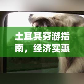 2025年4月 第135页