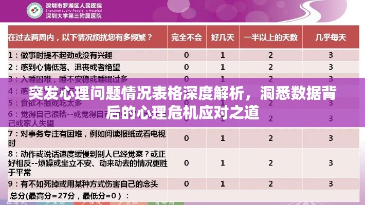 突发心理问题情况表格深度解析，洞悉数据背后的心理危机应对之道