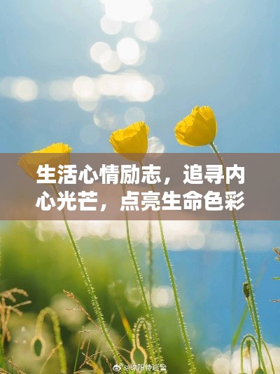 生活心情励志，追寻内心光芒，点亮生命色彩