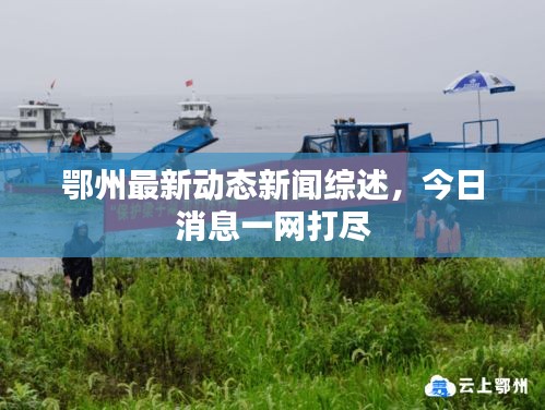 鄂州最新动态新闻综述，今日消息一网打尽