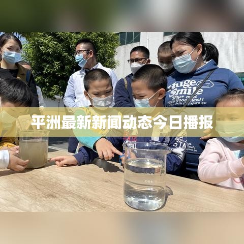 平洲最新新闻动态今日播报