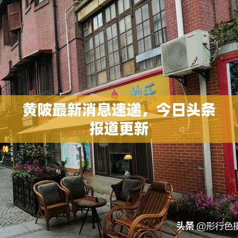 黄陂最新消息速递，今日头条报道更新