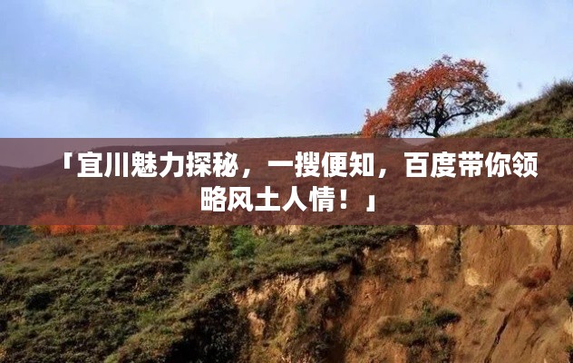 「宜川魅力探秘，一搜便知，百度带你领略风土人情！」