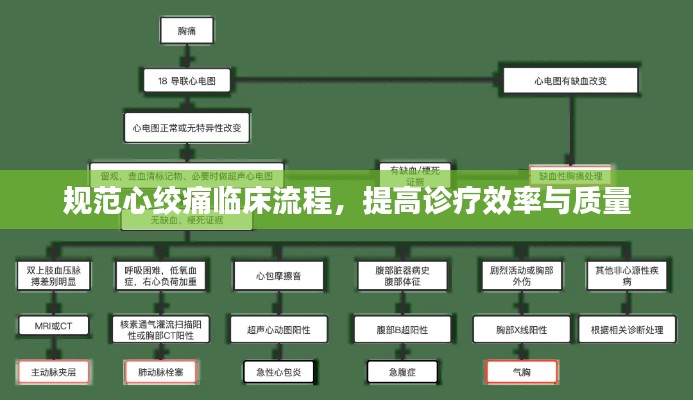 规范心绞痛临床流程，提高诊疗效率与质量