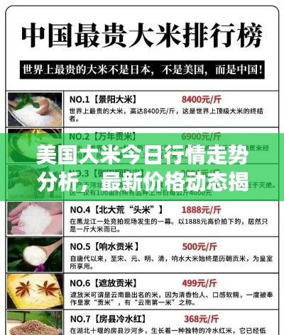 美国大米今日行情走势分析，最新价格动态揭秘