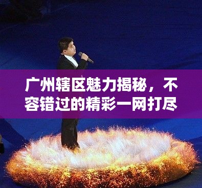 广州辖区魅力揭秘，不容错过的精彩一网打尽！