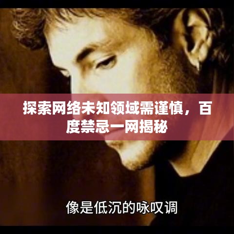 探索网络未知领域需谨慎，百度禁忌一网揭秘