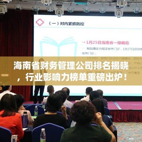 海南省财务管理公司排名揭晓，行业影响力榜单重磅出炉！