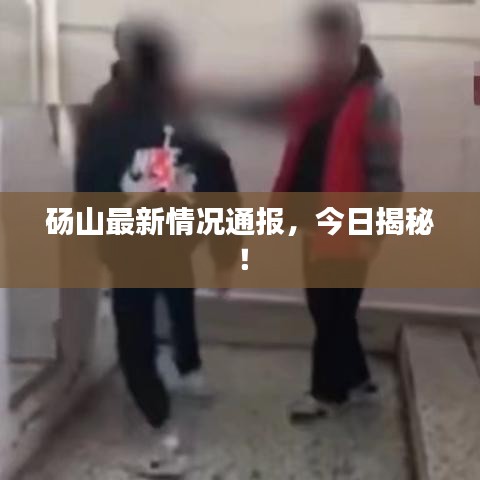砀山最新情况通报，今日揭秘！