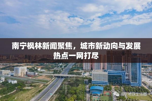 南宁枫林新闻聚焦，城市新动向与发展热点一网打尽