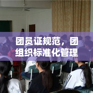 团员证规范，团组织标准化管理的基石之道