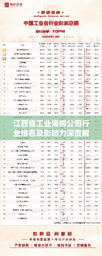 江西省工业海绵公司行业排名及影响力深度解析