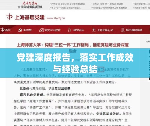 党建深度报告，落实工作成效与经验总结