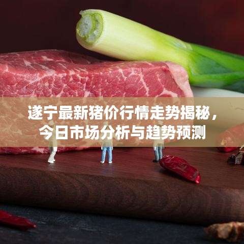 遂宁最新猪价行情走势揭秘，今日市场分析与趋势预测